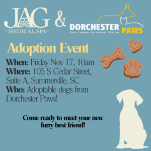 Dorchester Paws event at Jag Medical
