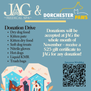 Dorchester paws event at JAG Medical